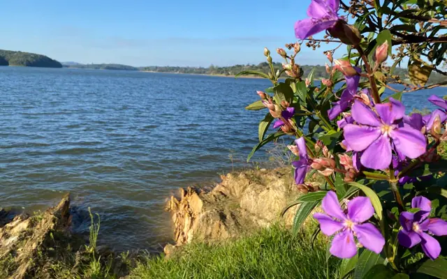 Foto de Ibiúna